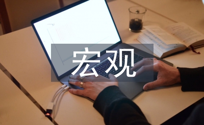 微观经济论文